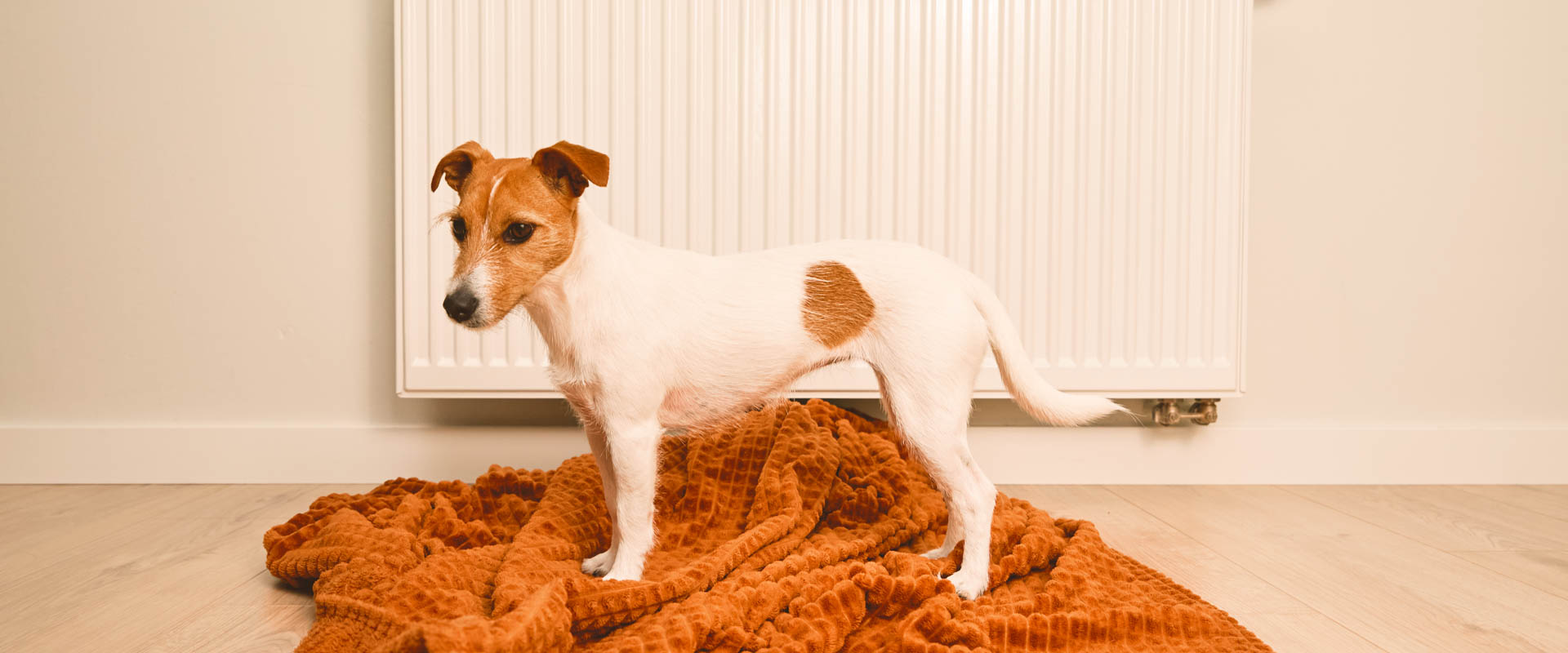 Precio gasóleo a domicilio